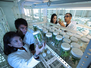 Science Laboratory ddos在线压力测试平台